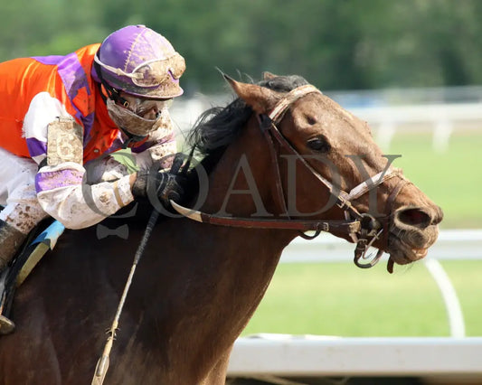 Bold Cait - 051015 Race 04 Btp Fin Tight Belterra Park