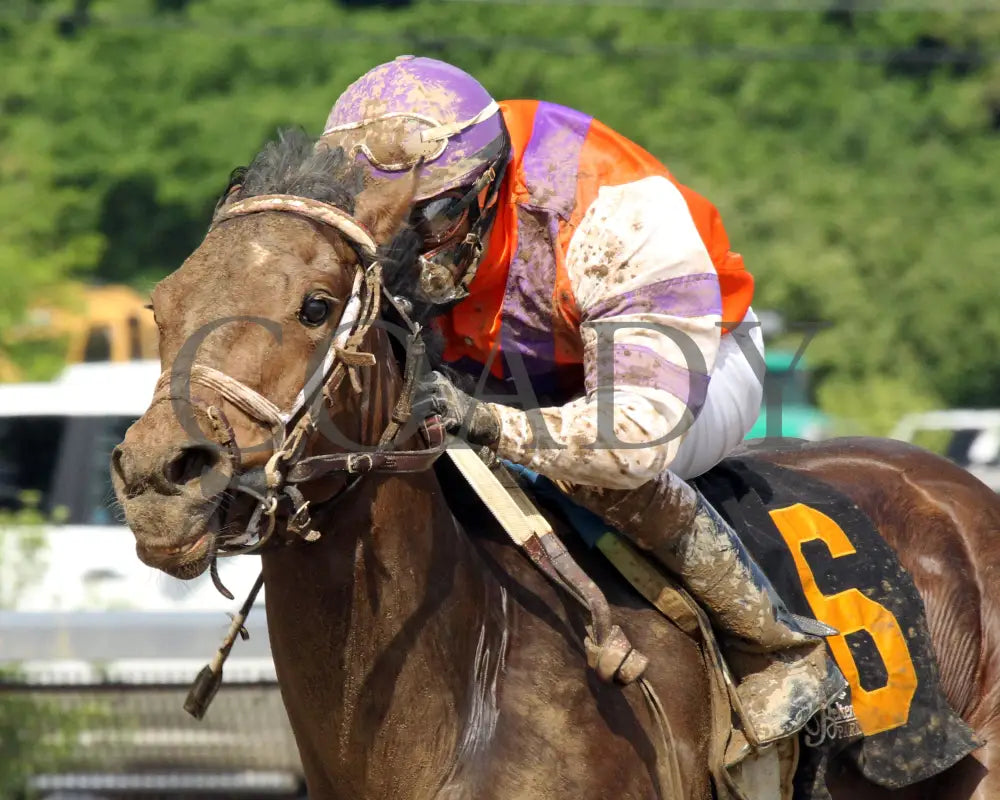 Bold Cait - 051015 Race 04 Btp Ins Belterra Park