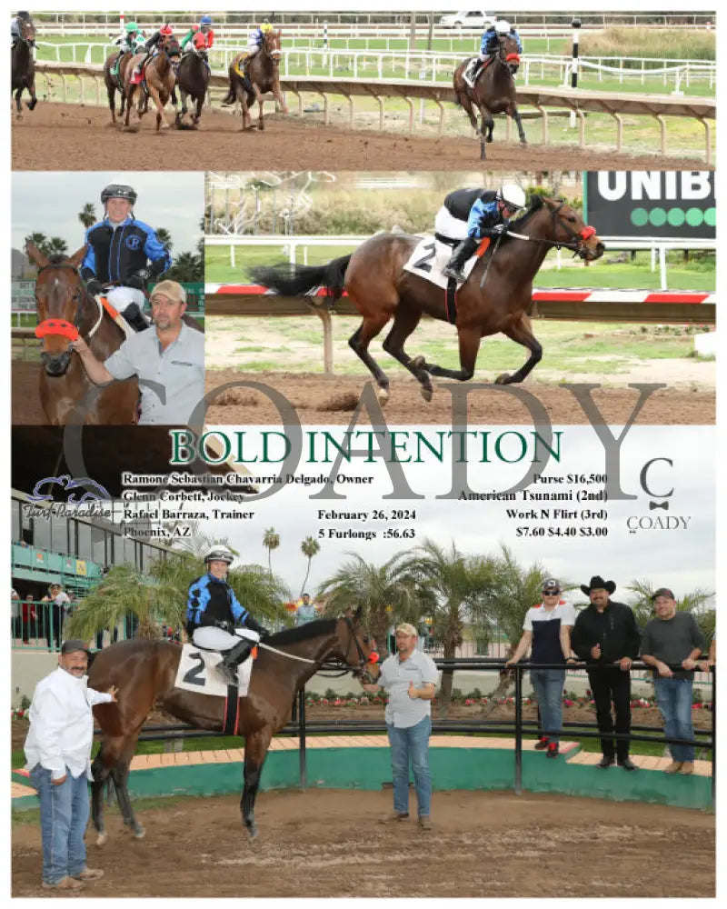 Bold Intention - 02-26-24 R02 Tup Turf Paradise