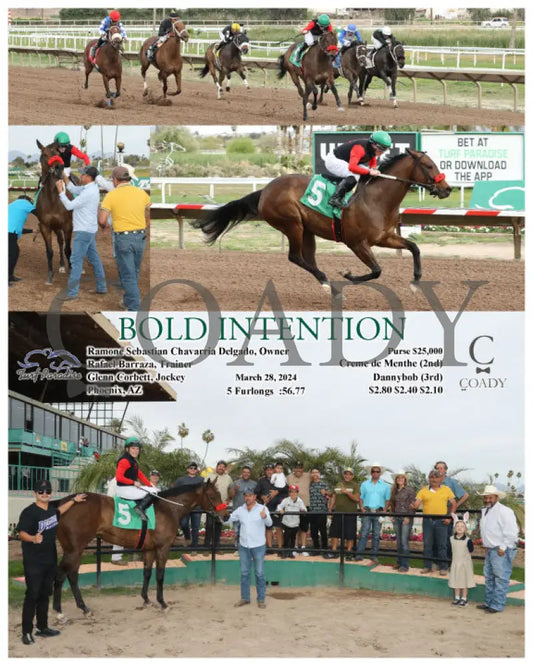 Bold Intention - 03 - 28 - 24 R08 Tup Turf Paradise