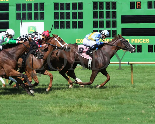 Bonnie Arch - 070818 Race 08 Elp Finish 01 Ellis Park