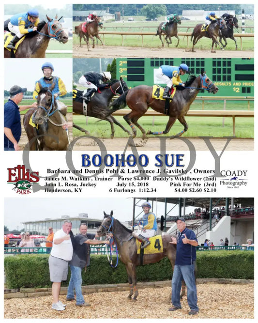 Boohoo Sue - 071518 Race 01 Elp Ellis Park