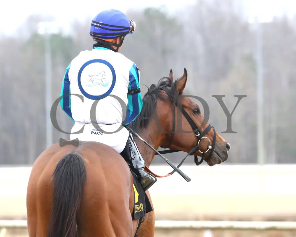 BOOK’EM DANNO - The Boston Handicap - 03-14-25 - R07 - CNL - Come Back 01 Colonial Downs