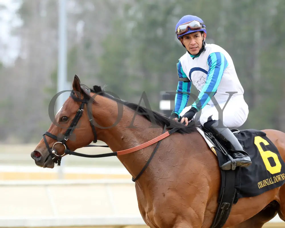 BOOK’EM DANNO - The Boston Handicap - 03-14-25 - R07 - CNL - Come Back 05 Colonial Downs