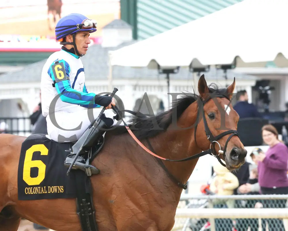BOOK’EM DANNO - The Boston Handicap - 03-14-25 - R07 - CNL - Come Back 03 Colonial Downs