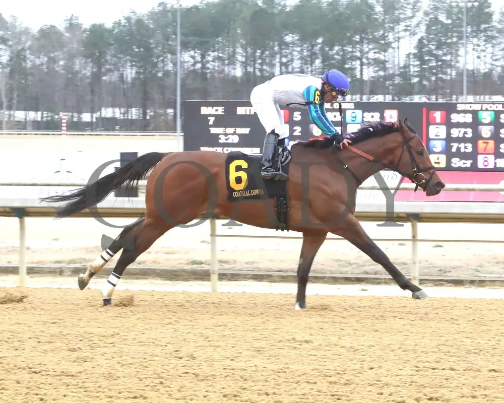 BOOK'EM DANNO - The Boston Handicap - 03-14-25 - R07 - CNL - Finish 01 - Coady Media - Kurtis Coady Photography