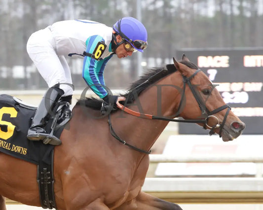 BOOK’EM DANNO - The Boston Handicap - 03-14-25 - R07 - CNL - Finish 02 Colonial Downs