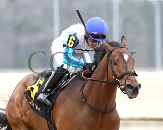 BOOK'EM DANNO - The Boston Handicap - 03-14-25 - R07 - CNL - Finish 04 - Coady Media - Kurtis Coady Photography