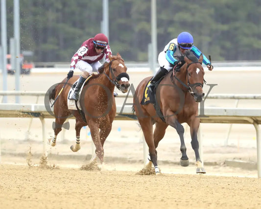 BOOK’EM DANNO - The Boston Handicap - 03-14-25 - R07 - CNL - Finish 03 Colonial Downs