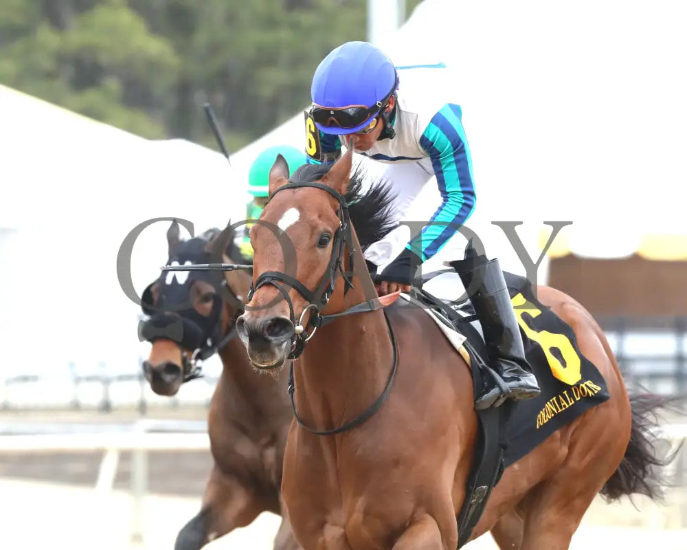 BOOK'EM DANNO - The Boston Handicap - 03-14-25 - R07 - CNL - Inside Finish 01 - Coady Media - Kurtis Coady Photography