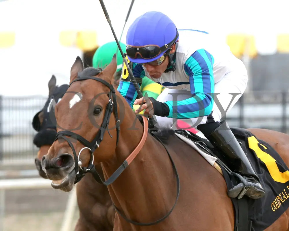 BOOK’EM DANNO - The Boston Handicap - 03-14-25 - R07 - CNL - Inside Finish 02 Colonial Downs