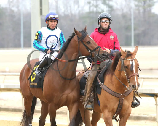 BOOK'EM DANNO - The Boston Handicap - 03-14-25 - R07 - CNL - Post Parade 01 - Coady Media - Kurtis Coady Photography