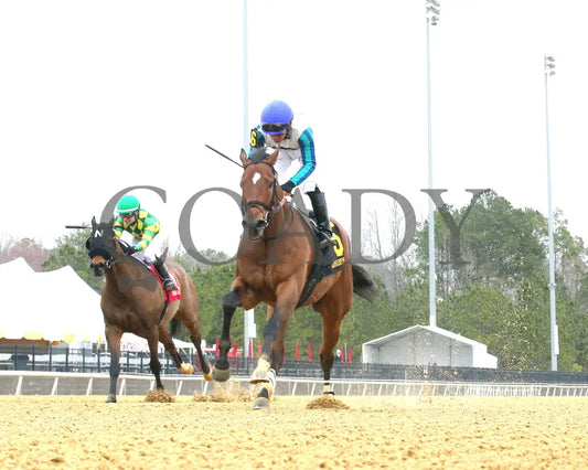 BOOK’EM DANNO - The Boston Handicap - 03-14-25 - R07 - CNL - Under Rail 01 Colonial Downs