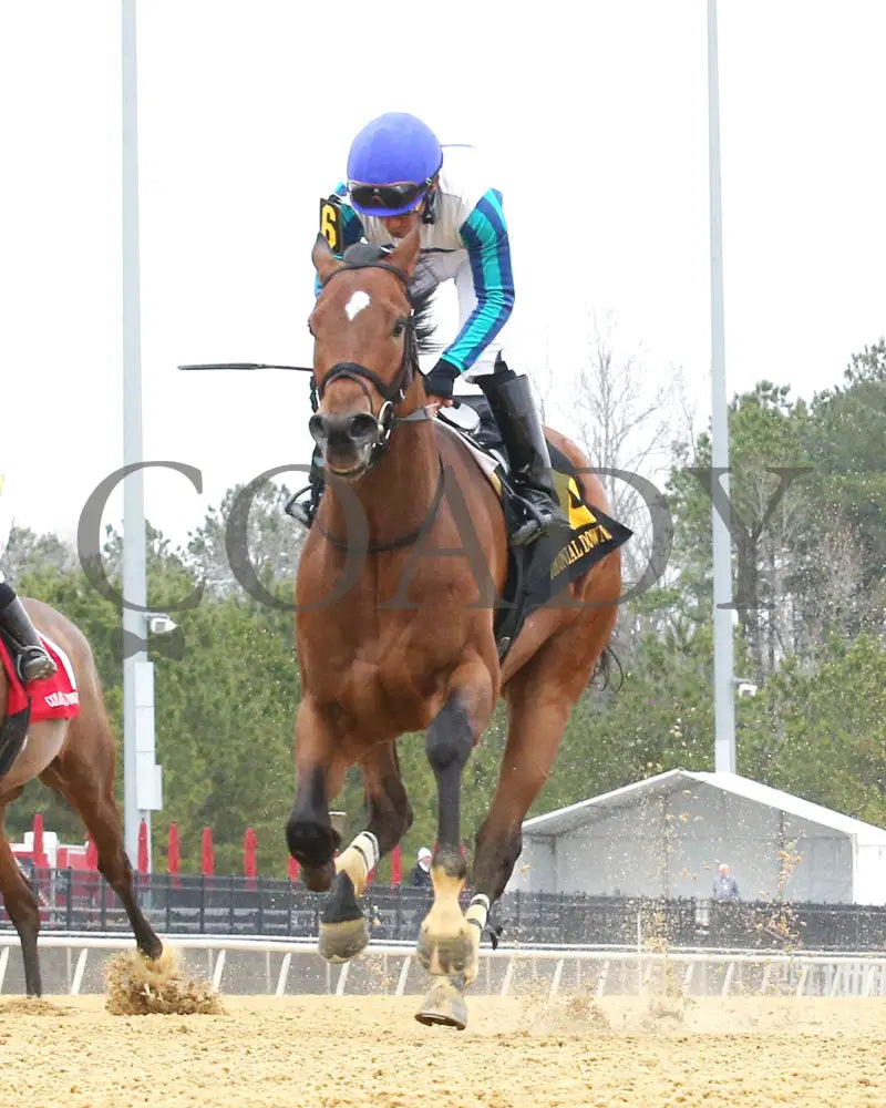BOOK'EM DANNO - The Boston Handicap - 03-14-25 - R07 - CNL - Under Rail 02 - Coady Media - Kurtis Coady Photography