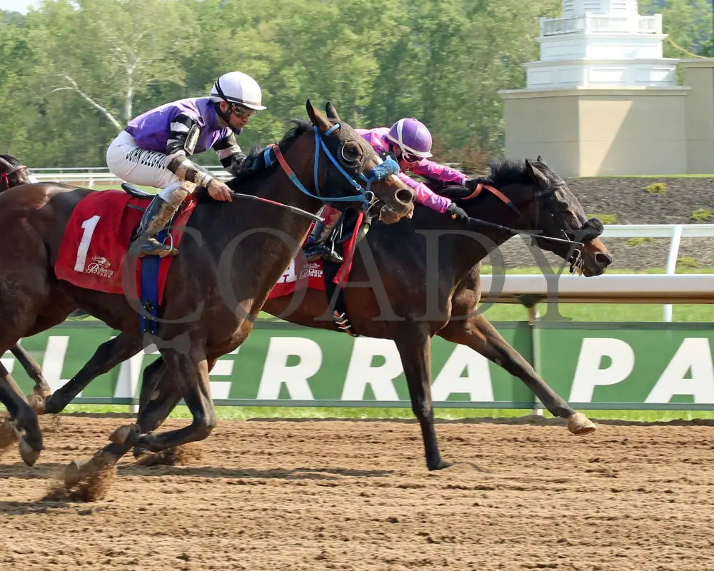 Boot Legger - 050915 Race 07 Btp Fin Belterra Park