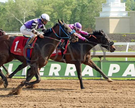 Boot Legger - 050915 Race 07 Btp Fin Belterra Park