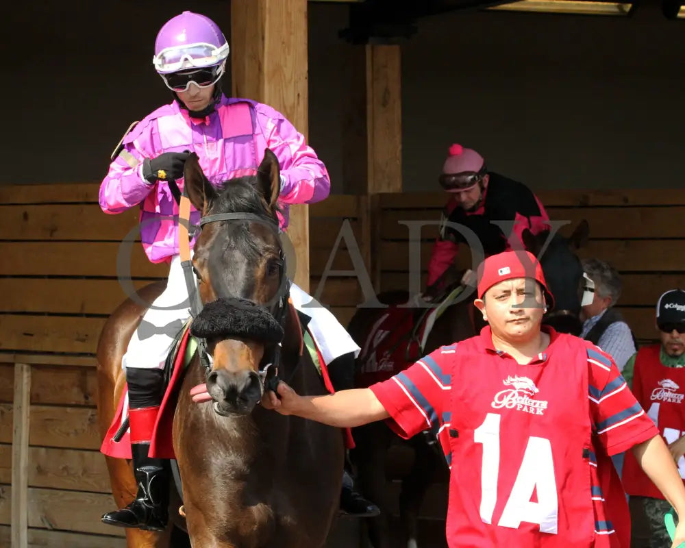 Boot Legger - 050915 Race 07 Btp Paddock Belterra Park