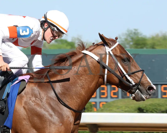 BOOTH - 041225 - Race 08 - OP The Count Fleet Sprint Handicap - Finish 04 Oaklawn Park