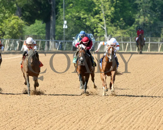 BOOTH - 041225 - Race 08 - OP The Count Fleet Sprint Handicap - Head On 01 Oaklawn Park
