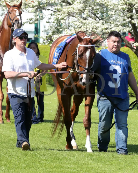 BOOTH - 041225 - Race 08 - OP The Count Fleet Sprint Handicap - Paddock 02 Oaklawn Park