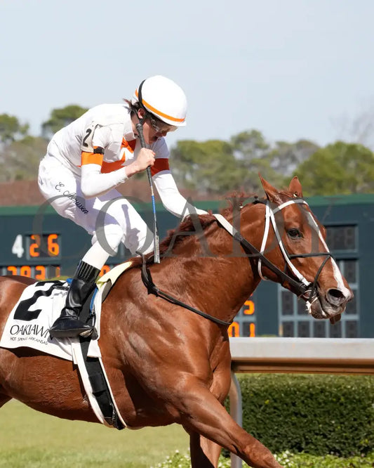 BOOTH - Commodore Overnight Stakes - 1st Running - 02-24-25 - R04 - OP - Celebration 01 Oaklawn Park