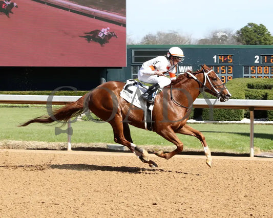 BOOTH - Commodore Overnight Stakes - 1st Running - 02-24-25 - R04 - OP - Finish 01 Oaklawn Park