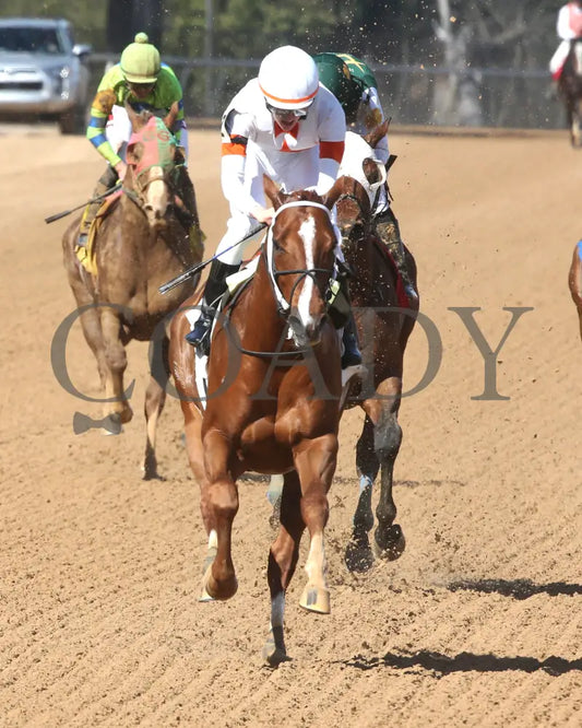 BOOTH - Commodore Overnight Stakes - 1st Running - 02-24-25 - R04 - OP - Gallop Out 01 Oaklawn Park