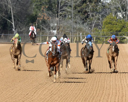 BOOTH - Commodore Overnight Stakes - 1st Running - 02-24-25 - R04 - OP - Head On 01 Oaklawn Park