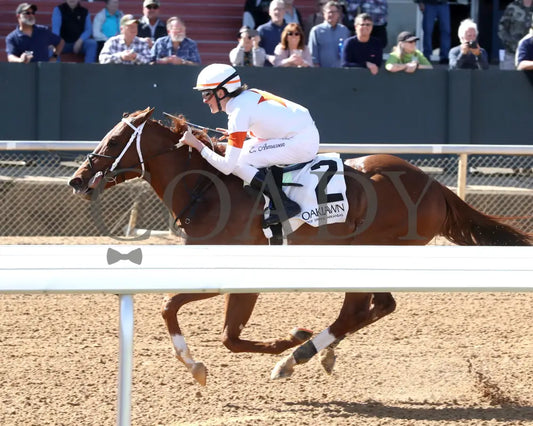 BOOTH - Commodore Overnight Stakes - 1st Running - 02-24-25 - R04 - OP - Inside Finish 01 Oaklawn Park