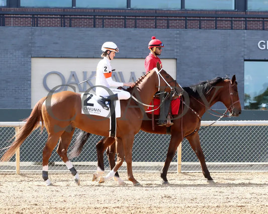 BOOTH - Commodore Overnight Stakes - 1st Running - 02-24-25 - R04 - OP - Post Parade 01 Oaklawn Park