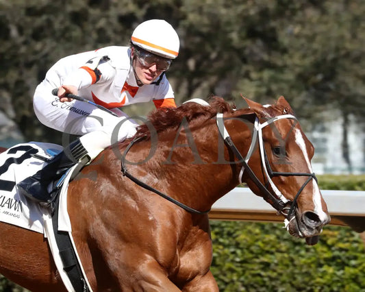 BOOTH - Commodore Overnight Stakes - 1st Running - 02-24-25 - R04 - OP - Tight Finish 01 Oaklawn Park