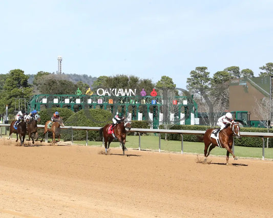 BOOTH - Commodore Overnight Stakes - 1st Running - 02-24-25 - R04 - OP - Up The Track 01 Oaklawn Park