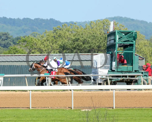 BOOTH - The Count Fleet Sprint Handicap - G3 - 04-12-25 - R08 - Oaklawn Park - Start 01 Oaklawn Park