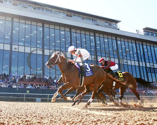 BOOTH - The Count Fleet Sprint Handicap - G3 - 04-12-25 - R08 - Oaklawn Park - Under Rail 01 Oaklawn Park
