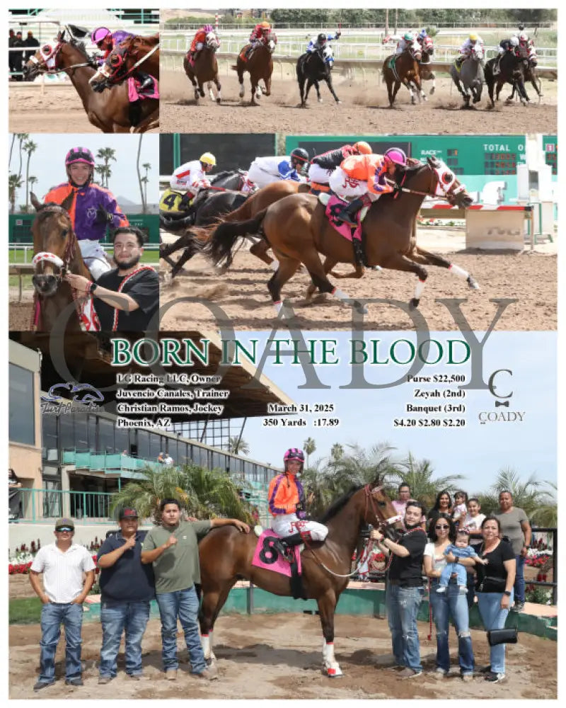 BORN IN THE BLOOD - 03-31-25 - R01 - TUP Turf Paradise