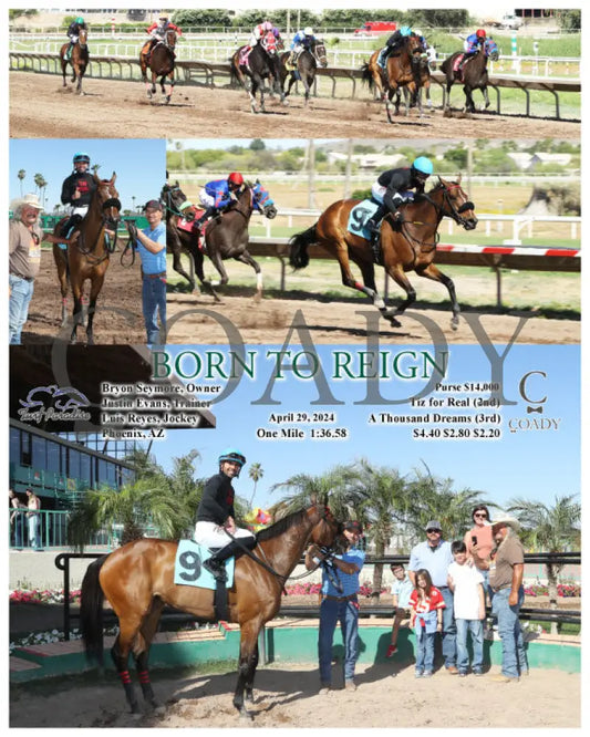 Born To Reign - 04-29-24 R06 Tup Turf Paradise