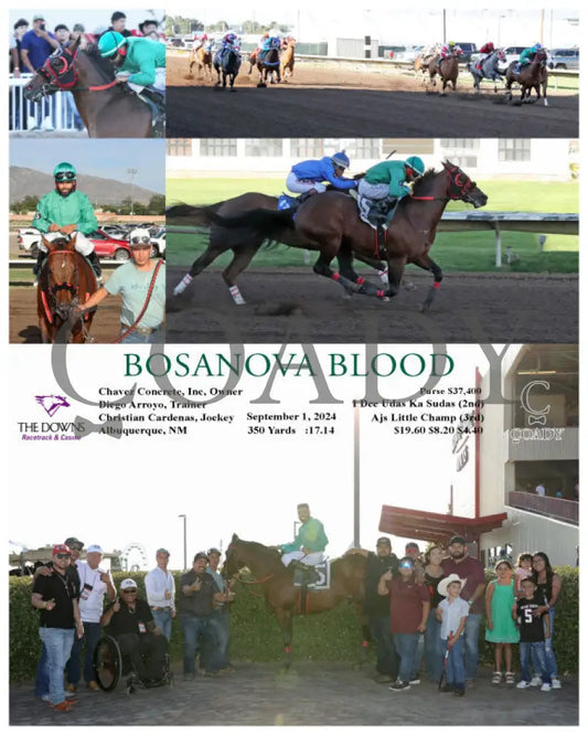 Bosanova Blood - 09-01-24 R11 Alb Downs At Albuquerque