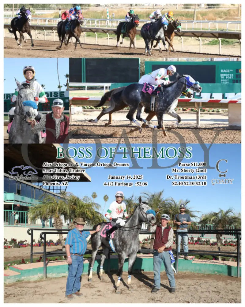Boss Of Themoss - 01-14-25 R06 Tup Turf Paradise