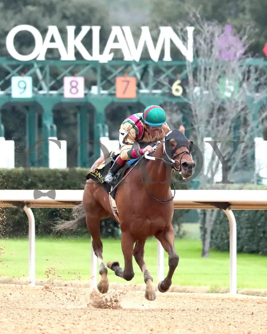BOURBON BASH - Commodore Overnight Stakes - 01-03-26 - R09 - OP - Finish 02 - Coady Media - Kurtis Coady Photography