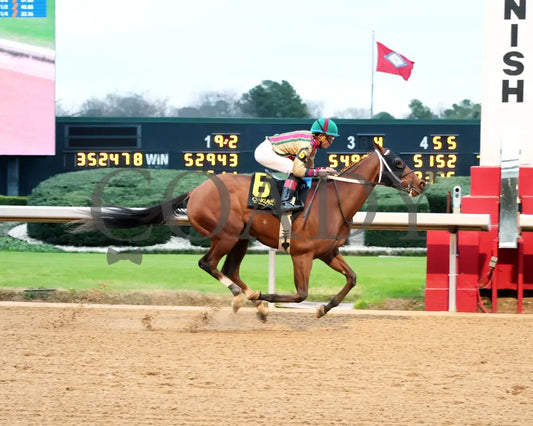 BOURBON BASH - Commodore Overnight Stakes - 01-03-26 - R09 - OP - Finish 01 - Coady Media - Kurtis Coady Photography