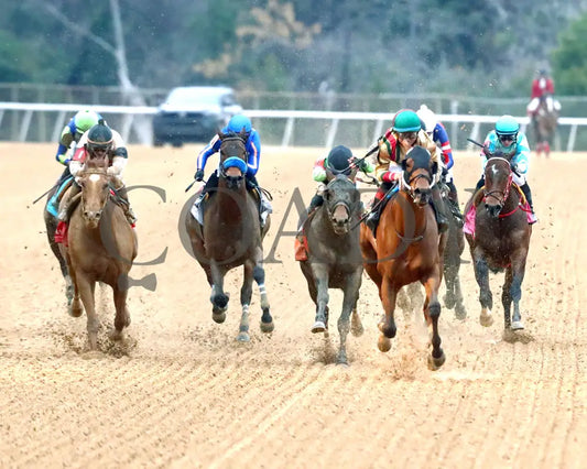 BOURBON BASH - Commodore Overnight Stakes - 01-03-26 - R09 - OP - Head On 01 - Coady Media - Kurtis Coady Photography