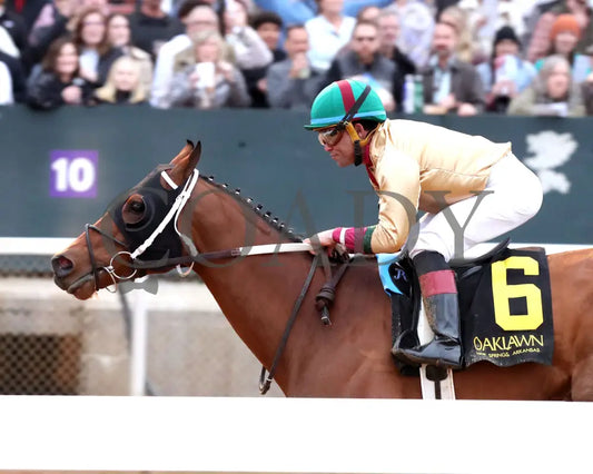 BOURBON BASH - Commodore Overnight Stakes - 01-03-26 - R09 - OP - Inside Finish 02 - Coady Media - Kurtis Coady Photography