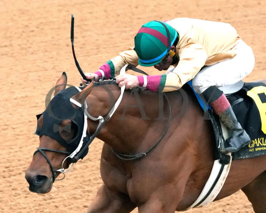 BOURBON BASH - Commodore Overnight Stakes - 01-03-26 - R09 - OP - Inside Finish 01 - Coady Media - Kurtis Coady Photography