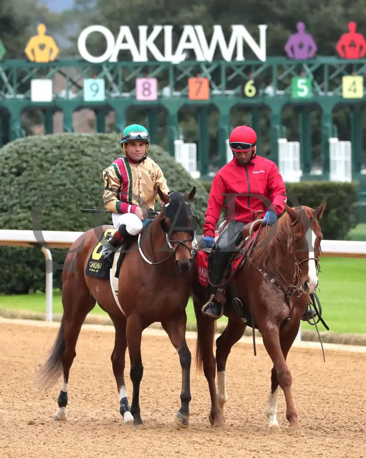 BOURBON BASH - Commodore Overnight Stakes - 01-03-26 - R09 - OP - Post Parade 01 - Coady Media - Kurtis Coady Photography