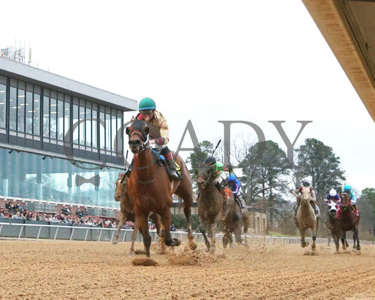 BOURBON BASH - Commodore Overnight Stakes - 01-03-26 - R09 - OP - Under Rail 01 - Coady Media - Kurtis Coady Photography