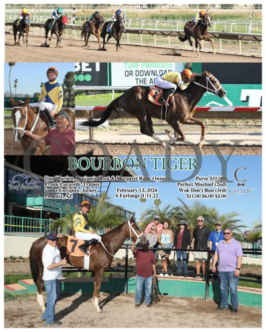 Bourbon Tiger - 02-13-24 R08 Tup Turf Paradise