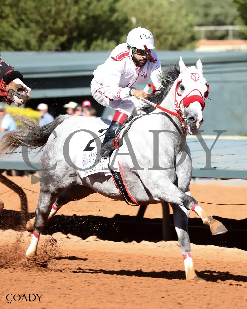 BOUT TA LEARN YALL - John Andreini Memorial Stakes - 05-26-25 - R10 - Ruidoso Downs - Finish 03 - Kurtis Coady Ruidoso