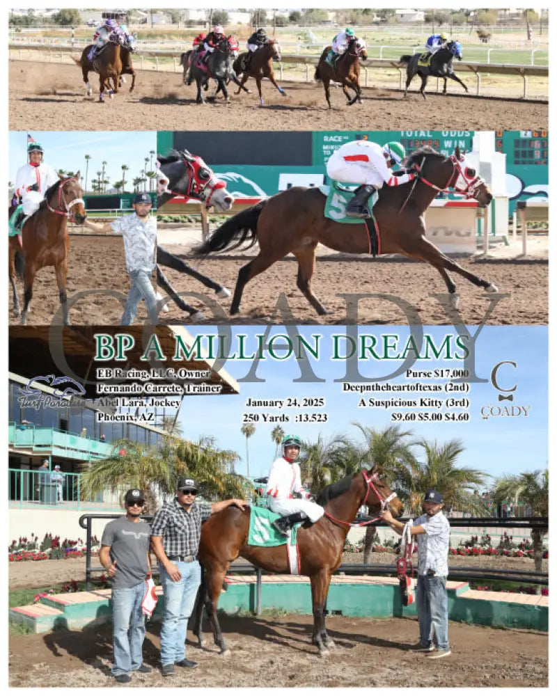 Bp A Million Dreams - 01-24-25 R02 Tup Turf Paradise