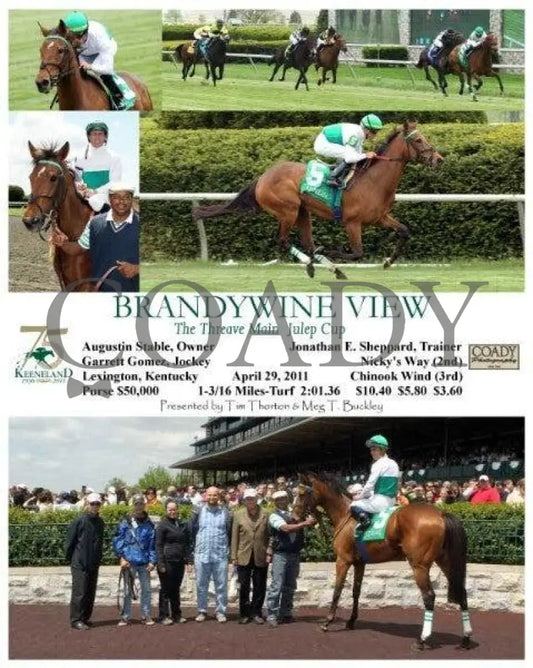 Brandywine View - 042911 Race 02 Keeneland
