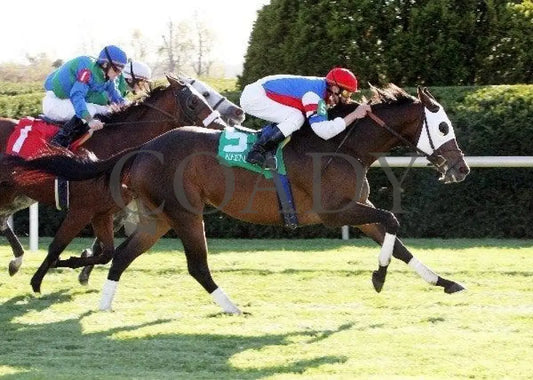 Brass Hat - The Sycamore Keeneland